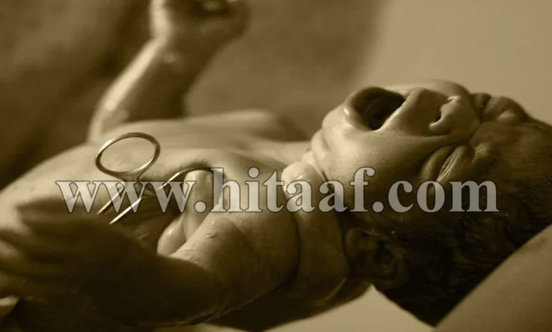 اصرخ، صرخة الحياة في عالم مليء بالتحديات